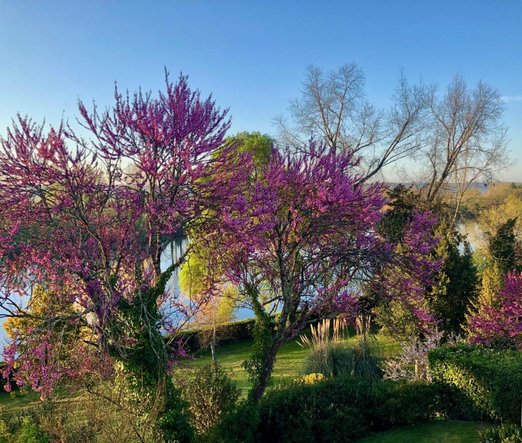 La Suite A Chateau Franc Daut Saint-Magne-de-Castillon エクステリア 写真